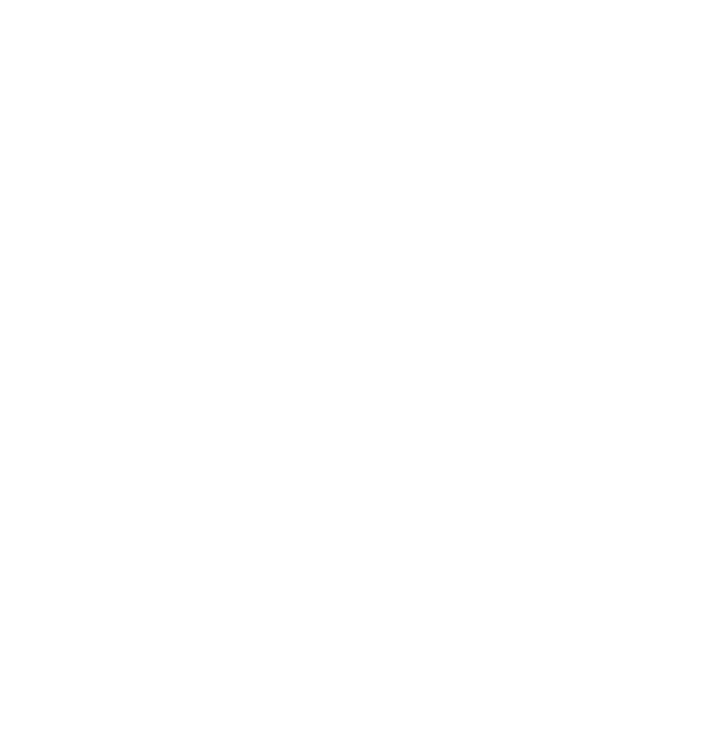 Lincoln Star Group
